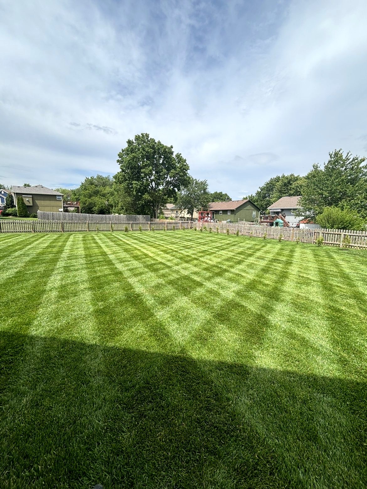 Precision Striped Lawn